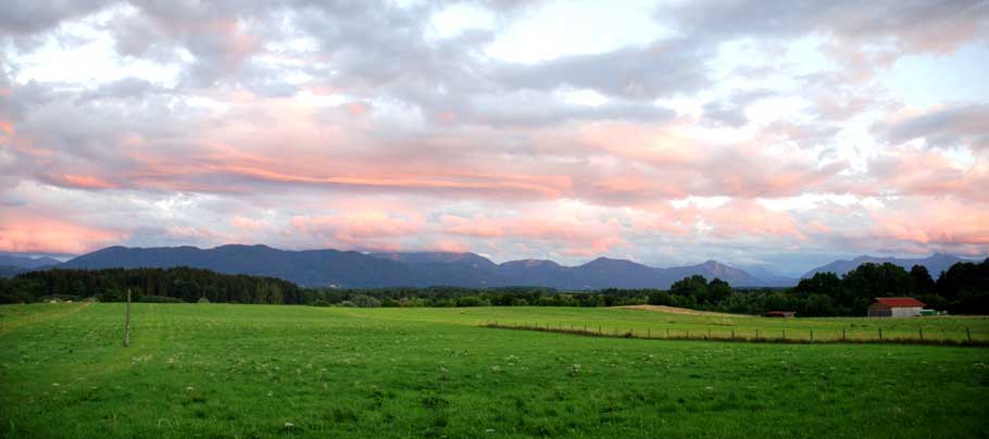 boschhof landschaft